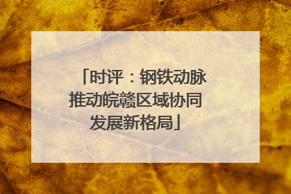 时评：钢铁动脉推动皖赣区域协同发展新格局