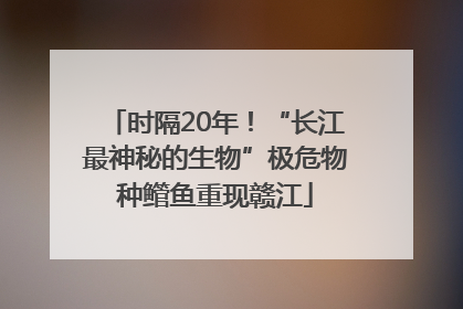时隔20年！“长江最神秘的生物”极危物种鳤鱼重现赣江