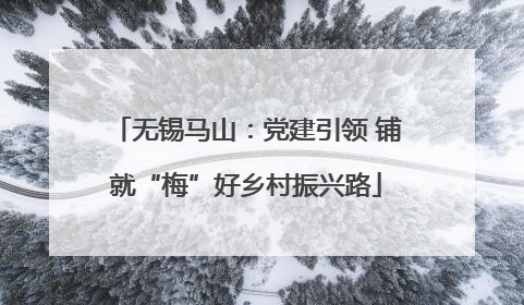 无锡马山：党建引领 铺就“梅”好乡村振兴路