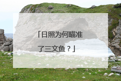 日照为何瞄准了三文鱼？