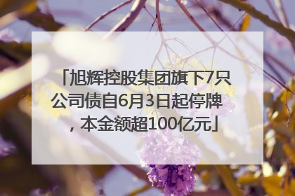 旭辉控股集团旗下7只公司债自6月3日起停牌，本金额超100亿元