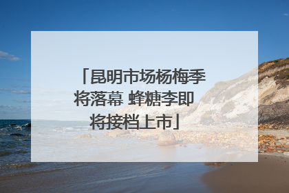 昆明市场杨梅季将落幕 蜂糖李即将接档上市