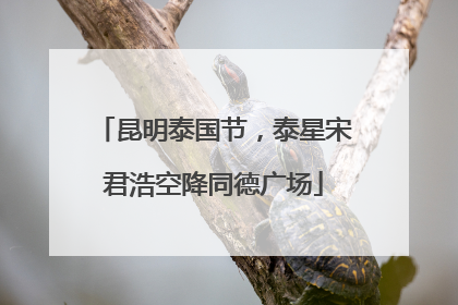 昆明泰国节，泰星宋君浩空降同德广场