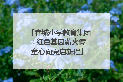 春城小学教育集团：红色基因薪火传 童心向党启新程