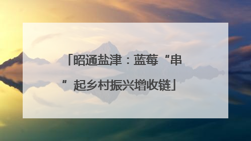 昭通盐津：蓝莓“串”起乡村振兴增收链