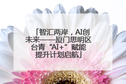 智汇两岸，AI创未来——厦门思明区台青“AI+”赋能提升计划启航