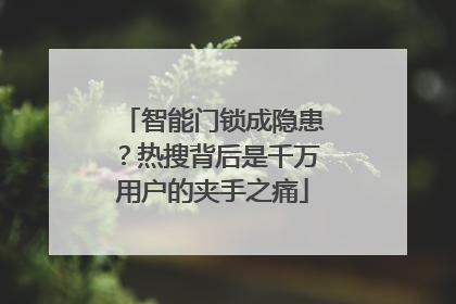 智能门锁成隐患？热搜背后是千万用户的夹手之痛
