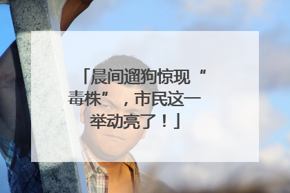 晨间遛狗惊现“毒株”，市民这一举动亮了！