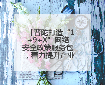 普陀打造“1+9+X”网络安全政策服务包，着力提升产业能级