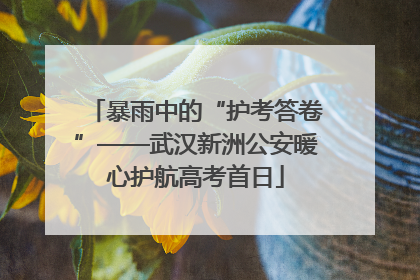 暴雨中的“护考答卷”——武汉新洲公安暖心护航高考首日
