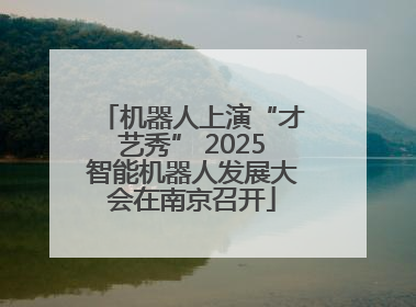 机器人上演“才艺秀” 2025智能机器人发展大会在南京召开