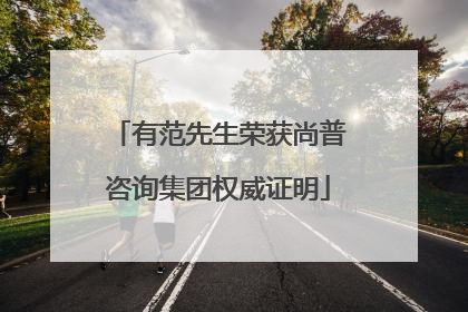 有范先生荣获尚普咨询集团权威证明
