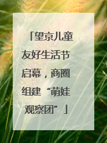 望京儿童友好生活节启幕，商圈组建“萌娃观察团”
