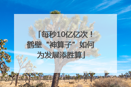 每秒10亿亿次！鹤壁“神算子”如何为发展添胜算