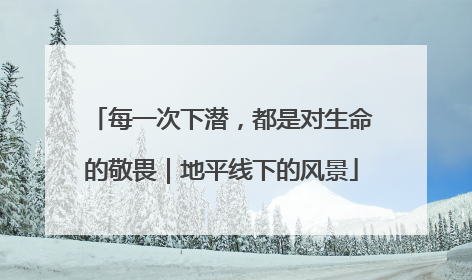 每一次下潜，都是对生命的敬畏｜地平线下的风景