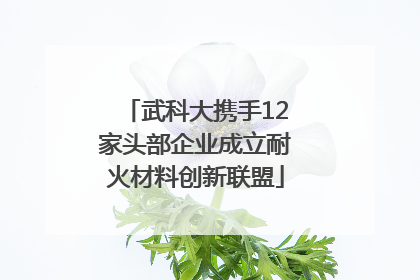 武科大携手12家头部企业成立耐火材料创新联盟
