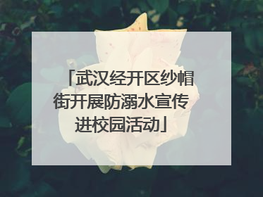 武汉经开区纱帽街开展防溺水宣传进校园活动