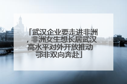 武汉企业要走进非洲，非洲女生想长居武汉 高水平对外开放推动鄂非双向奔赴
