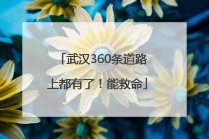 武汉360条道路上都有了！能救命