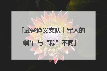 武警遵义支队︱军人的端午 与“粽”不同