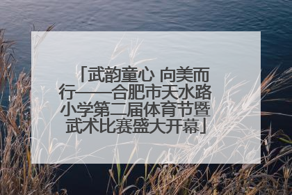 武韵童心 向美而行——合肥市天水路小学第二届体育节暨武术比赛盛大开幕