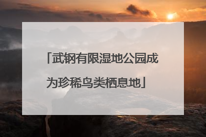 武钢有限湿地公园成为珍稀鸟类栖息地