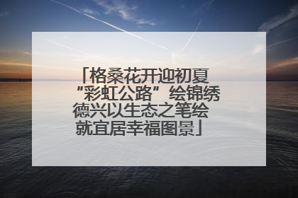 格桑花开迎初夏 “彩虹公路”绘锦绣 德兴以生态之笔绘就宜居幸福图景