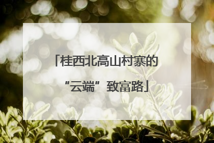 桂西北高山村寨的“云端”致富路