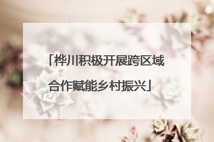 桦川积极开展跨区域合作赋能乡村振兴