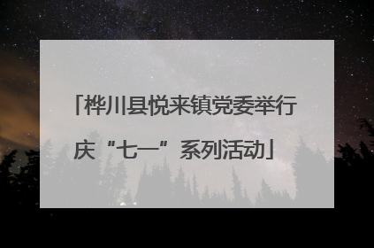 桦川县悦来镇党委举行庆“七一”系列活动