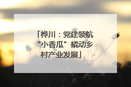 桦川：党建领航“小香瓜”撬动乡村产业发展