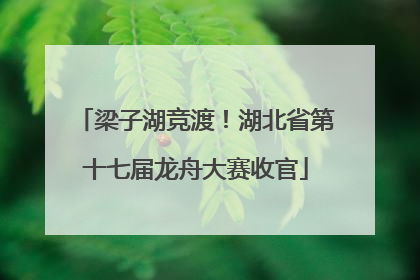 梁子湖竞渡！湖北省第十七届龙舟大赛收官