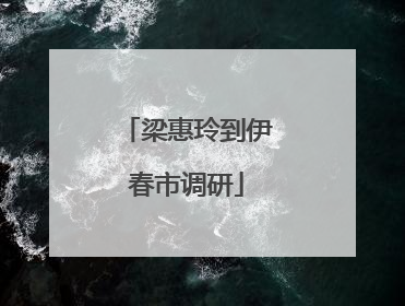 梁惠玲到伊春市调研