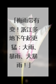 梅雨带有变！浙江多地下午起更猛：大雨、暴雨、大暴雨！