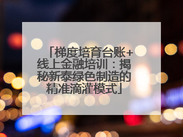 梯度培育台账+线上金融培训：揭秘新泰绿色制造的精准滴灌模式