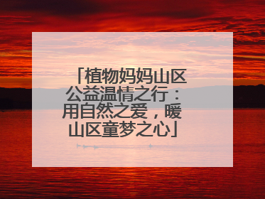 植物妈妈山区公益温情之行：用自然之爱，暖山区童梦之心