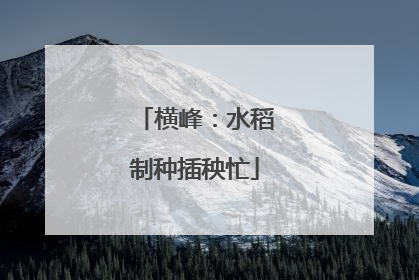 横峰：水稻制种插秧忙