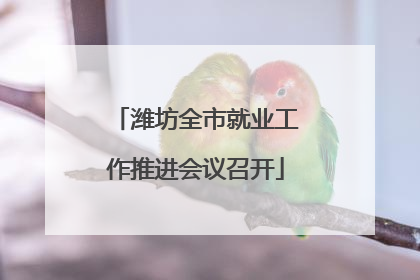 潍坊全市就业工作推进会议召开
