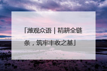 潍观众语｜精耕全链条，筑牢丰收之基