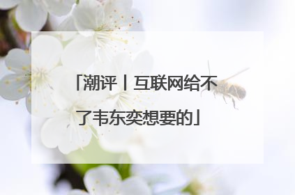 潮评丨互联网给不了韦东奕想要的