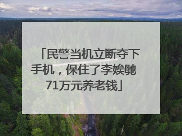 民警当机立断夺下手机，保住了李娭毑71万元养老钱