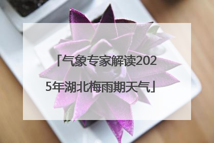 气象专家解读2025年湖北梅雨期天气