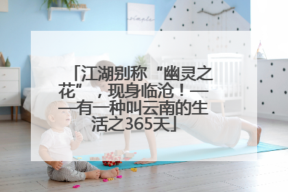 江湖别称“幽灵之花”，现身临沧！——有一种叫云南的生活之365天