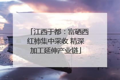 江西于都：富硒西红柿集中采收 精深加工延伸产业链