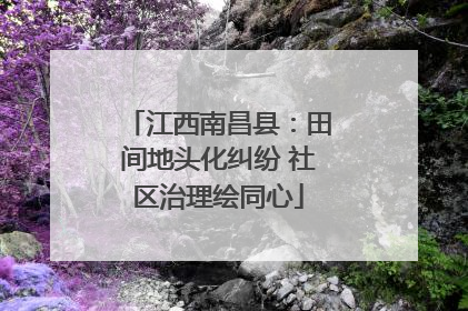 江西南昌县：田间地头化纠纷 社区治理绘同心