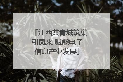 江西共青城筑巢引凤来 赋能电子信息产业发展
