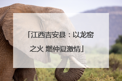 江西吉安县：以龙窑之火 燃仲夏激情