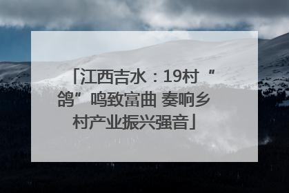江西吉水：19村“鸽”鸣致富曲 奏响乡村产业振兴强音