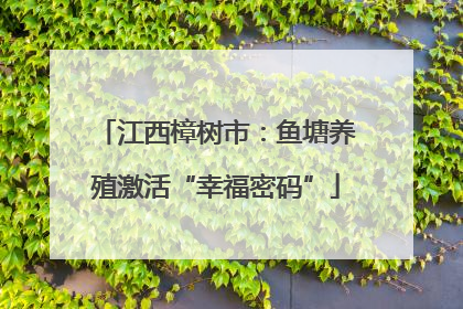 江西樟树市：鱼塘养殖激活“幸福密码”