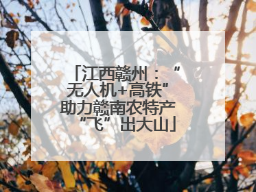 江西赣州：“无人机+高铁”助力赣南农特产“飞”出大山
